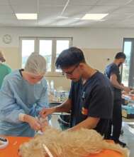 Roshan helps train a vet tech