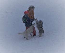 Dr. Simina's village