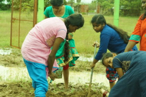 Children removing the weeds  in  vegetable garden