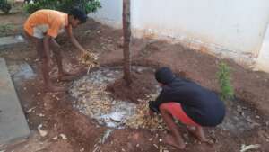 creating a manure pit