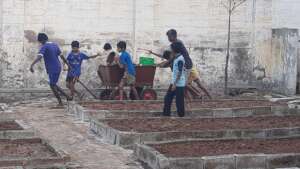 Preparing the Seedbed