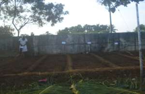 Preparing the ground to sow seeds