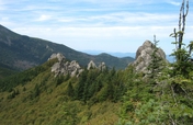 National Park Needs ATV to Protect Amur Tigers