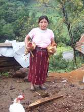 MUIXIL member proudly poses with her new chickens