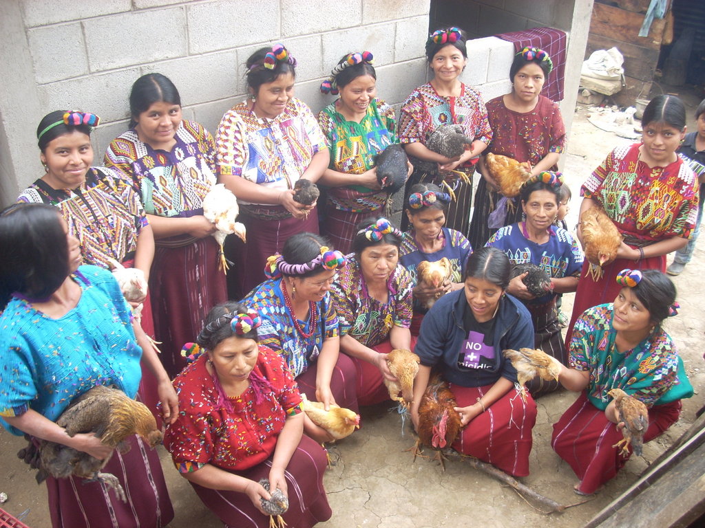 Sustainable Chicken Farm for Guatemalan Women