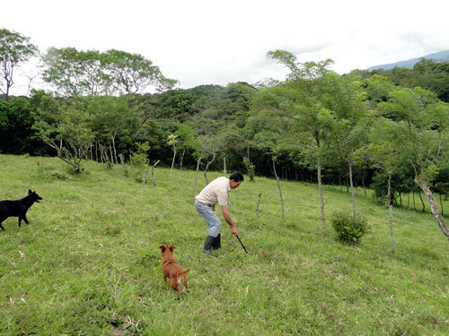 Save San Luis Forest, Save This Family, Costa Rica