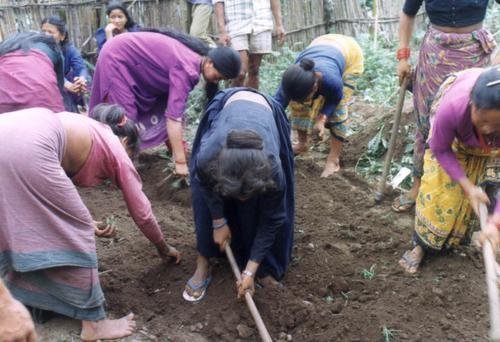 Ensure Food Security Through Sustainable Practices