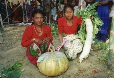 Ensure Food Security Through Sustainable Practices