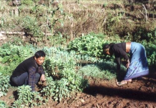 Ensure Food Security Through Sustainable Practices