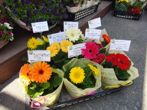 Messages of encouragement (May 2012, Miyagi Pref.)