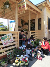 Hanayu Flower Shop (May 13th, 2012 - Miyagi Pref.)
