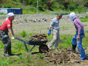 Removing debris and rocks to clean up the garden