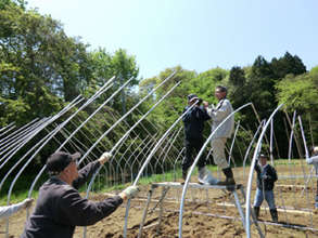 Building Green House at Hibiki Farm