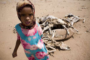 Ayan Ali Dahout, seven years old