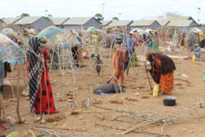 Women constructing shelters at a Baidoa IDP camp