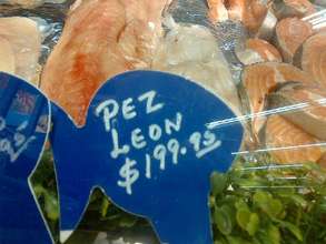 el nacional pez leon
