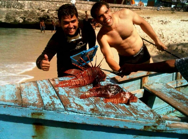 Controlling Lion Fish Invasion in the Caribbean