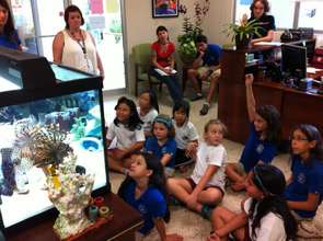 Students infront of the Lion Fish tank