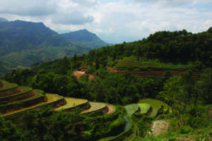 Your support reaches remote corners in Vietnam