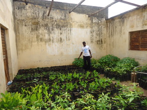 Students and teachers help care for the plants.