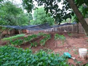 Organic Vegetable Garden