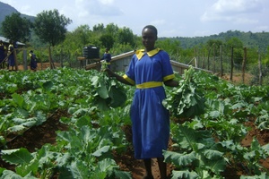 Benefits of a farmpond in schools
