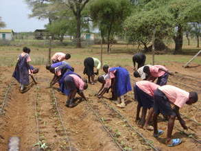 Primary School Students Planting Vegetable Garden