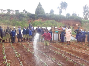 Rainwater harvesting for vegetable production