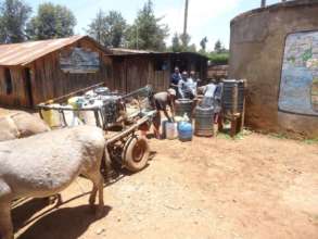 Drinking water from a well transported by donkeys
