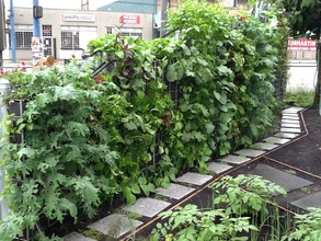 Warren's Wall, Vancouver Canada