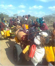 Somali refugees walked 21 days to Kenya border