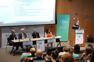 2013 panel