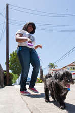 Walking the dog