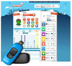Website + Zamzee Meter