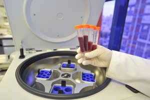 Bone Marrow Transplantation Center