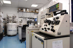 Laboratory bone marrow