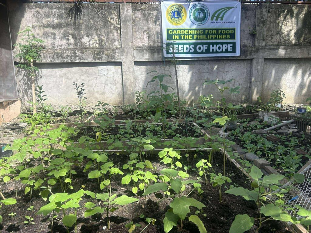 A month of growing - giving hope to families