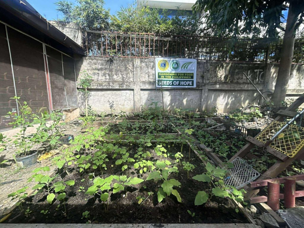 The garden is well organized and all are welcome