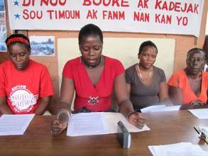 Combat Sexual Violence in Haiti