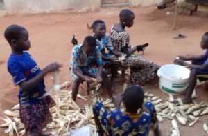 Learning the important task of dehusking maize