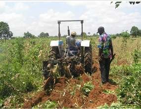 Working in the Fields