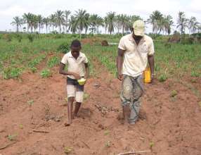 Hard and hot work planting by hand