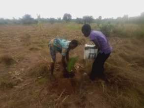 Tree planting at CPG