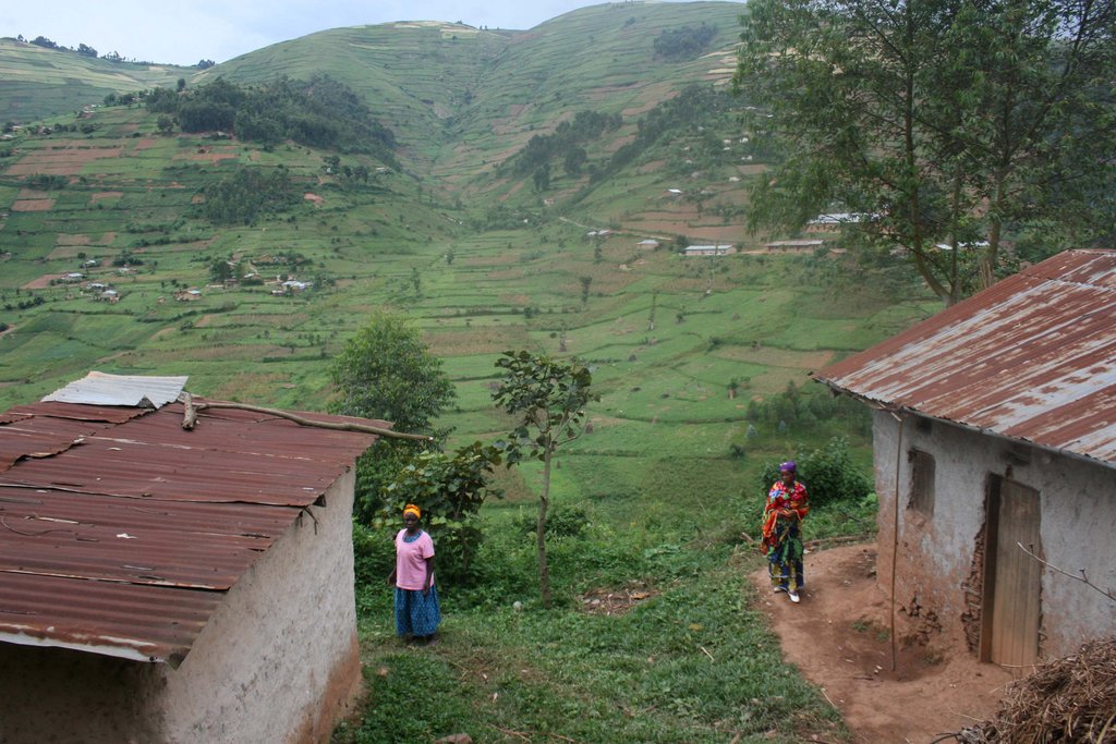 Clean Fuels and Cookstoves for Schools in Uganda