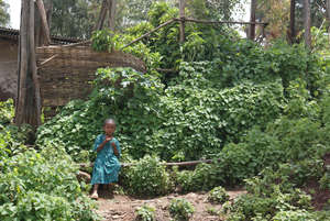 A little girl in Ethiopia