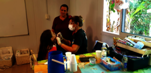 Program 4: Solidarity Trip to Misiones - March 202