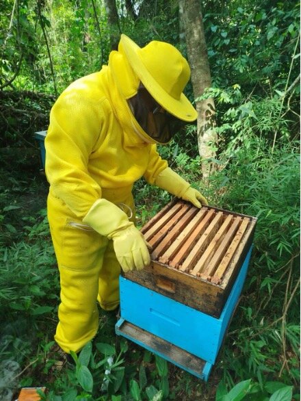 Beekeeping Project in Misiones
