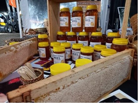 Beekeeping Project in Misiones