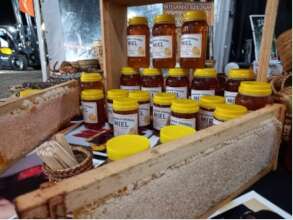 Beekeeping Project in Misiones
