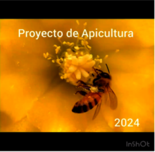 Our apiculture project is among the most important